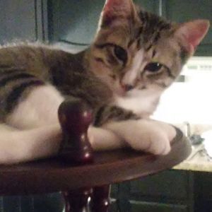 Meet your Posher, Daniel